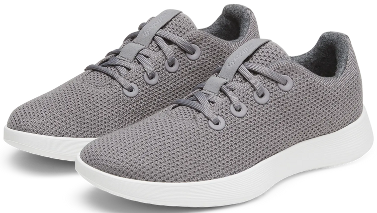 Allbirds Men's Tree Runner NZ Sneaker