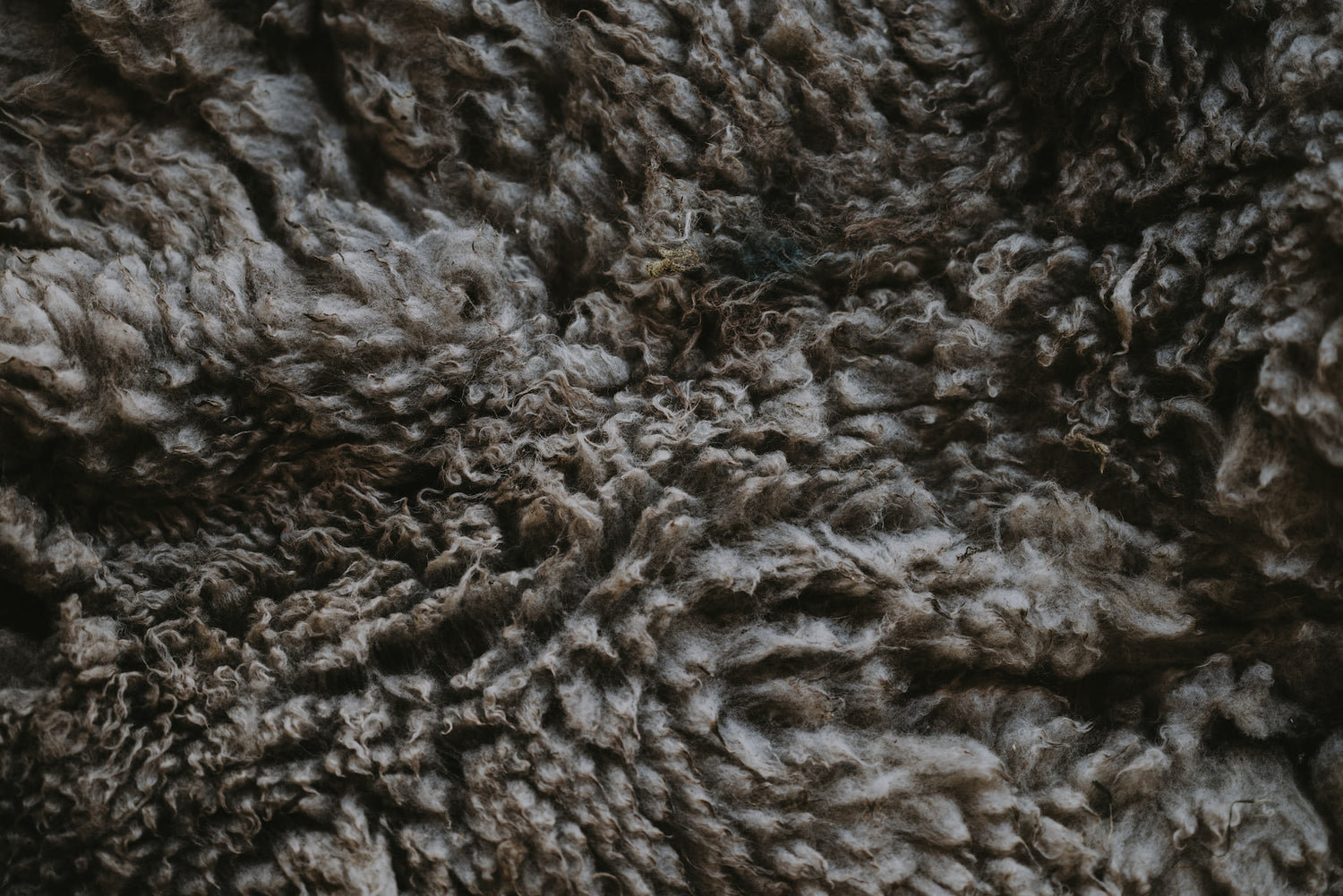 wool fabric up close